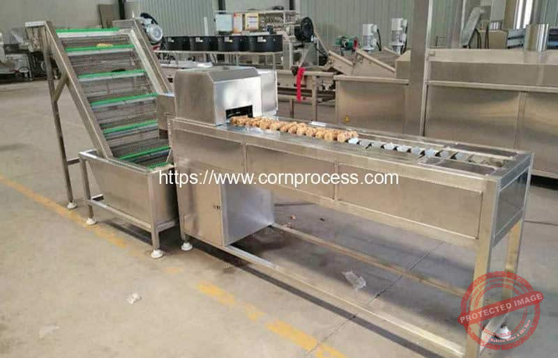 Automatic-Corn-Cob-Head-Double-Blade-Cutting-Machine